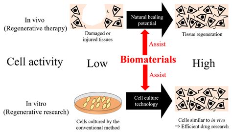 ไฮโดรไลซิส HAp Biomaterials สำหรับการนำมาใช้ในการแพทย์ฟื้นฟู!