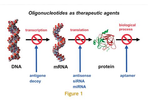  Uracil: การสังเคราะห์ DNA และ RNA ในอุตสาหกรรมเภทย์และชีววิทยา?